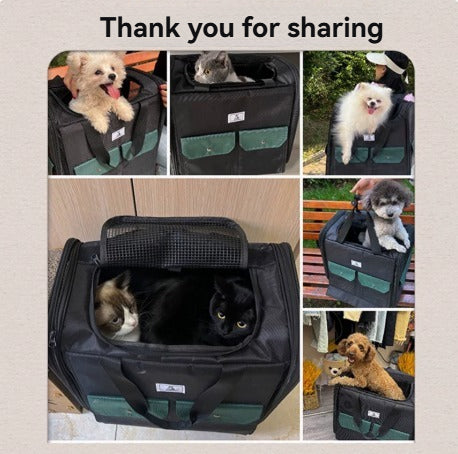 Maine Coon cat bag for going out, portable large-capacity cat backpack, pet outing bag, cat bag, backpack, pet backpack for dogs